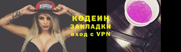 2c-b Инта