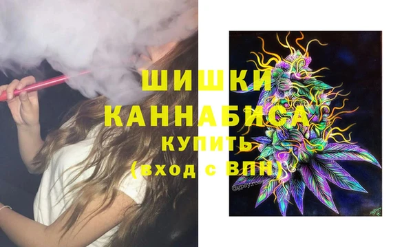 2c-b Инта
