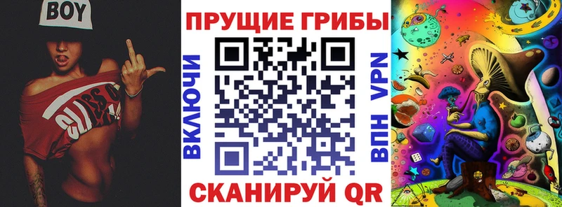Купить  Родники  Галлюциногенные грибы прущие грибы 